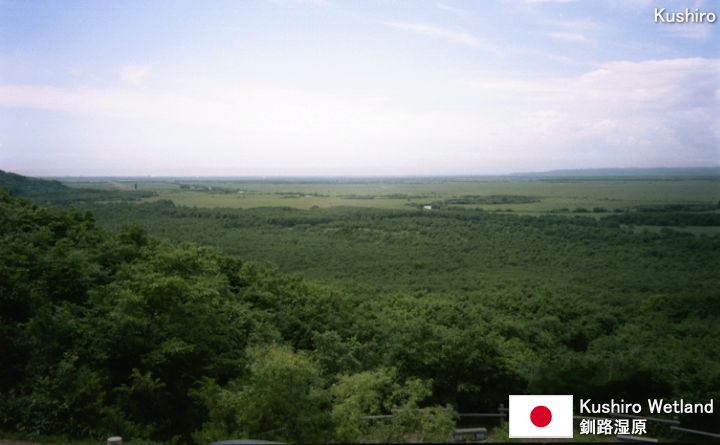 Kushiro Wetland Tourist Guide