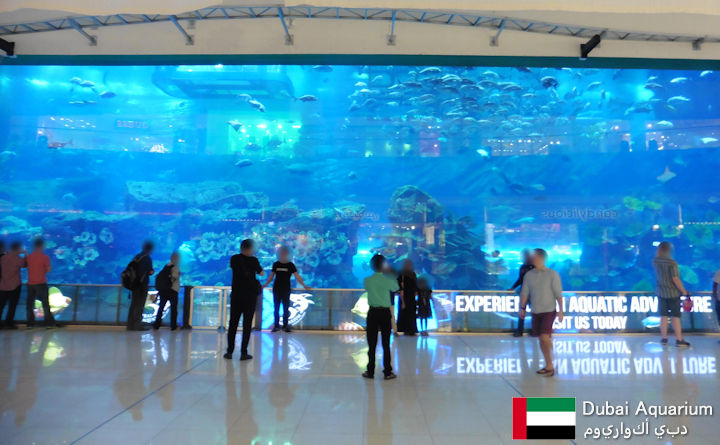 Dubai Aquarium