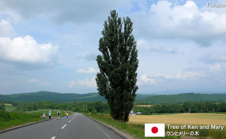 Tree of Ken and Mary Tourist Guide