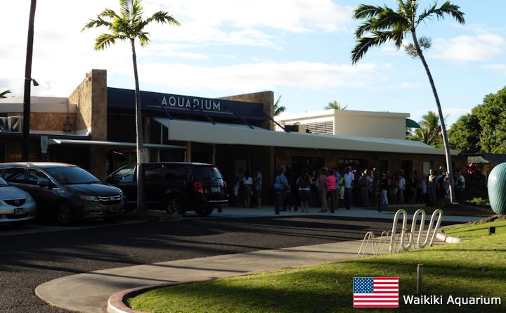 Waikiki Aquarium