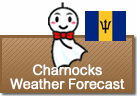 Weather Forecast