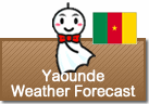 Weather Forecast