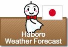 Weather Forecast