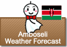 Weather Forecast