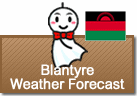 Weather Forecast