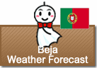 Weather Forecast