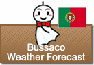 Weather Forecast