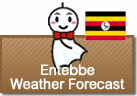 Weather Forecast