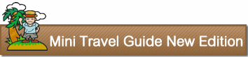 Mini Travel Guide New Edition