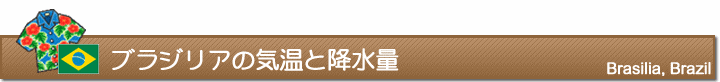 ブラジリアの気温と降水量