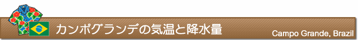 カンポグランデの気温と降水量
