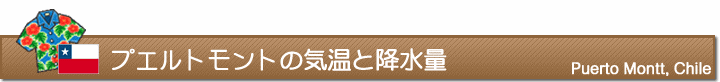プエルトモントの気温と降水量