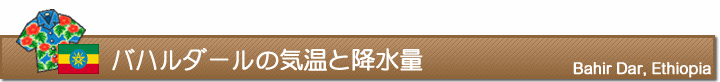 バハルダールの気温と降水量