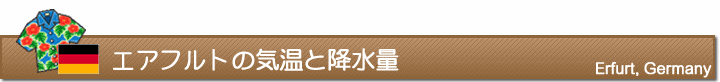 エアフルトの気温と降水量