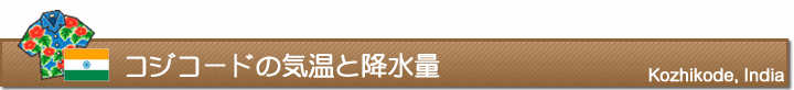 コジコードの気温と降水量