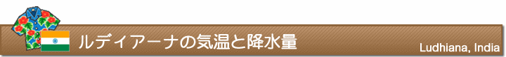 ルディアーナの気温と降水量