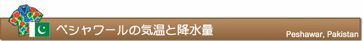 ペシャワールの気温と降水量