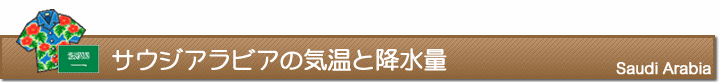 サウジアラビアの気温と降水量
