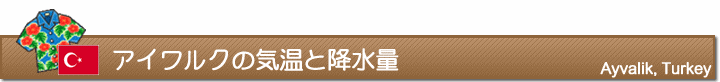 アイワルクの気温と降水量