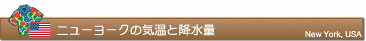 ニューヨークの気温と降水量
