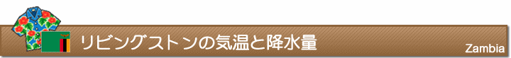 リビングストンの気温と降水量