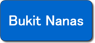 Bukit Nanas