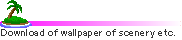 Wall paper
