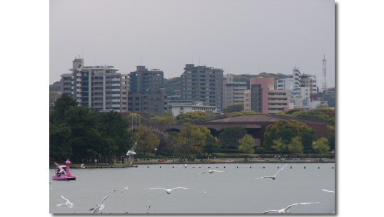 福岡市美術館