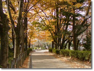 岐阜公園