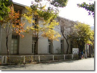 名和昆虫博物館