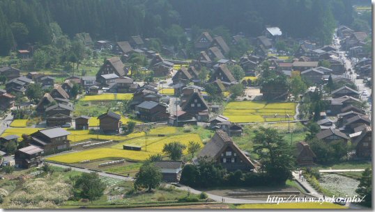 城山展望台