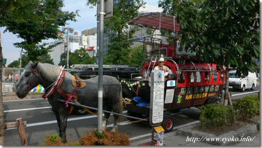 札幌観光幌馬車