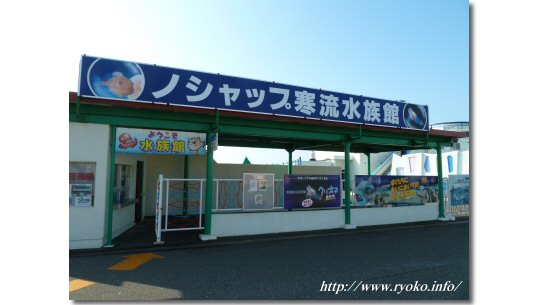 ノシャップ寒流水族館