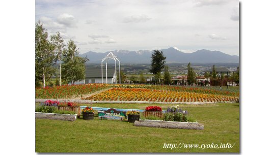 Flower land Kamifurano