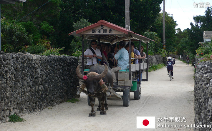 水牛車観光