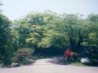岩手公園