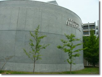 自然史標本館