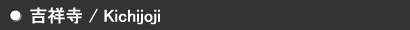 �g�ˎ�