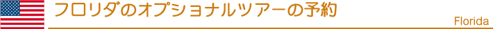 オプショナルツアーの予約