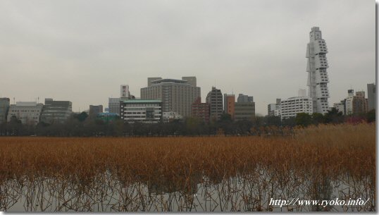 不忍池子
