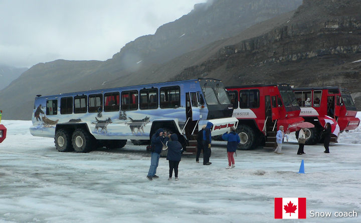 Snow coach