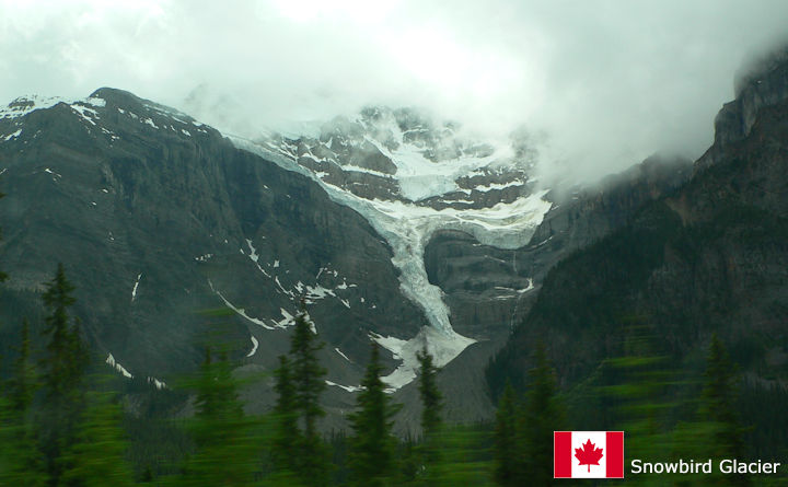 Snowbird Glacier