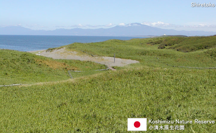 Koshimizu Nature Reserve