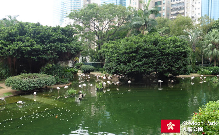 Kowloon Park