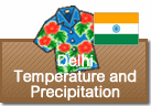 Delhi Temperature and Precipitation