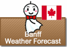 Weather Forecast