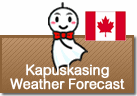 Weather Forecast