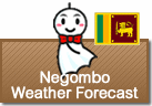 Weather Forecast