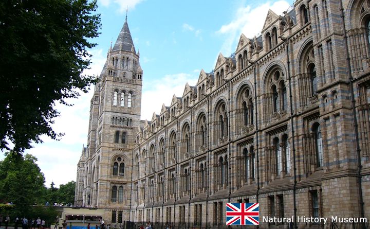 Natural History Museum