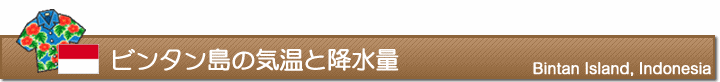 ビンタン島の気温と降水量